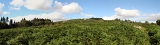 Panorama 7